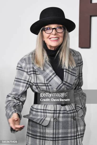 diane keaton sexy|5,889 Diane Keaton Photos Stock Photos & High